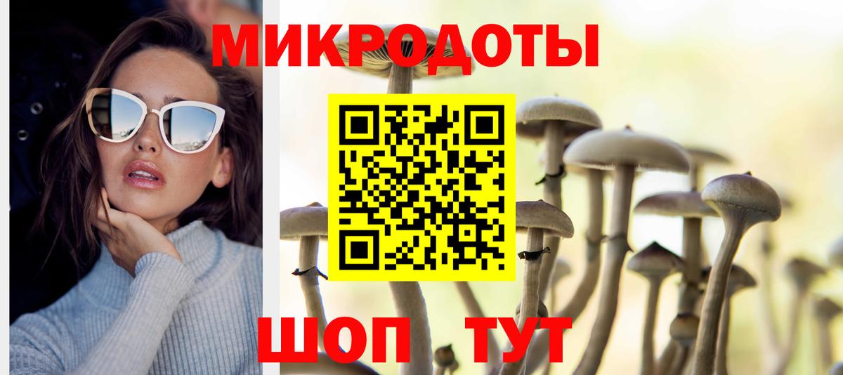 Псилоцибиновые грибы Cubensis Новороссийск
